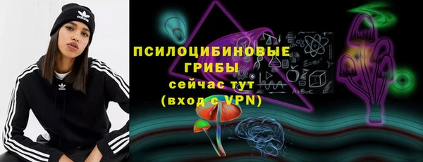 метадон Гусев