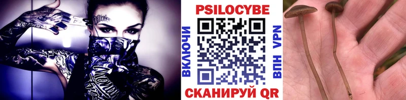Купить  Коммунар  Псилоцибиновые грибы мухоморы 